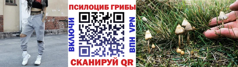 Псилоцибиновые грибы ЛСД  МЕГА онион  Ейск 