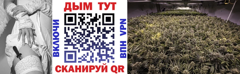 Бошки Шишки VHQ  купить   Ейск 